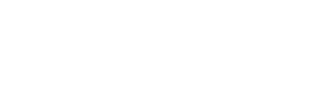 magellan healthcare logo